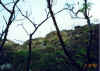 DiamondHead-21 Trail 2-16-02.jpg (108801 bytes)