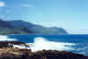 Kaena Point 1 2-21-02.jpg (121778 bytes)